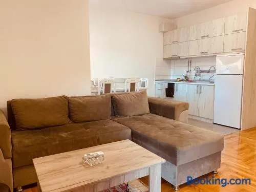 Apartman Vrnjačka Banja centar - Image 1