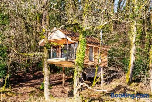 Finest Retreats - The Tree House - Eco-Friendly, Back to Nature Experience - Image 1