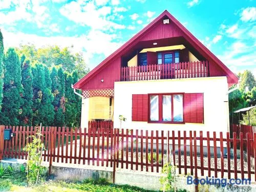 Tiszaparti Vendégház - Image 1