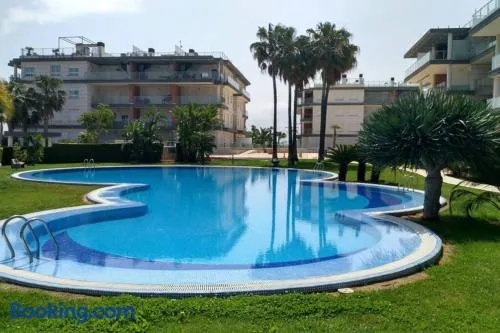 Paradise - Oliva Nova playa MET&GOLF - Image 1