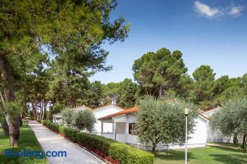 Apartments Galijot Plava Laguna - Image 1