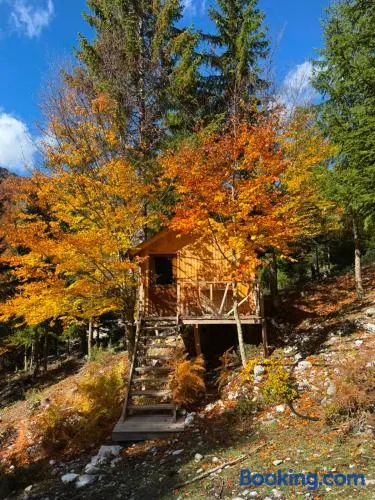 Guesthouse Kukaj - Image 1