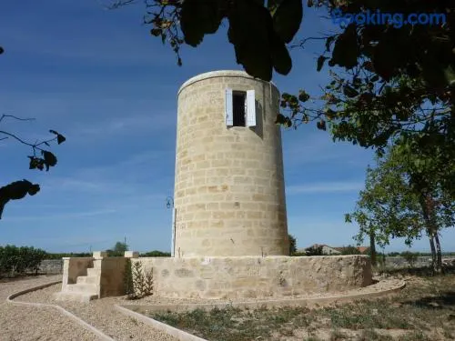 Clos Moulin Du Cadet - Image 1