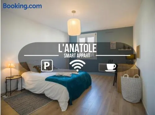 L'Anatole - Wifi - Parking - Centre ville - Image 1