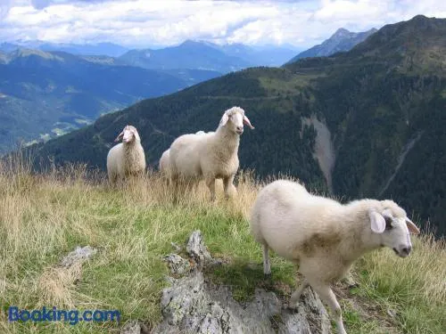 Pension Wilhelmer - Image 1