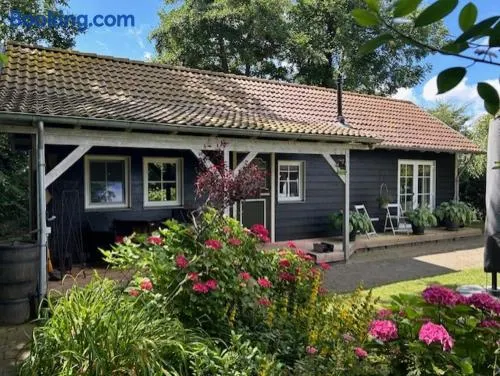 Natuurhuisje nabij Ouddorp in Goedereede - Image 1
