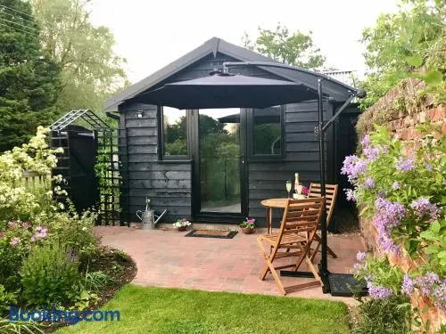 Melford Allotment Shed-Vintage Lodge Suffolk - Image 1