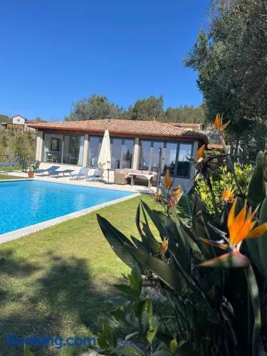 The Pool House - Image 1