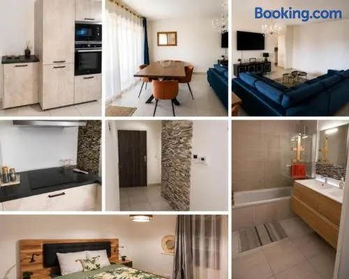 Appartement Ferney-Voltaire - Image 1
