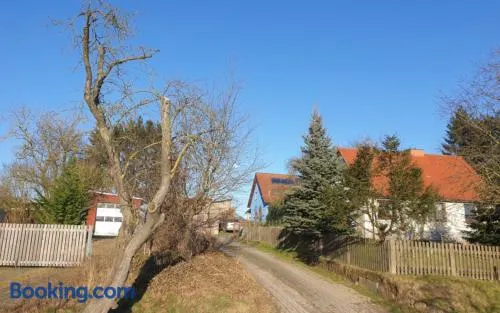 Blaues Haus-Urlaub mit Alpakas oder nur eine schöne Unterkunft in der schaalseergion - Image 1