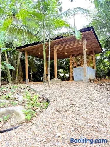 Camping do Bosque - Deck 01 - Image 1