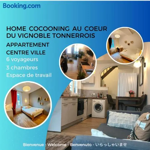 Appartement au coeur du vignoble tonnerrois - Image 1