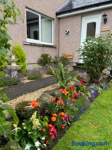 Treetops Bungalow Loch Ness - Image 1