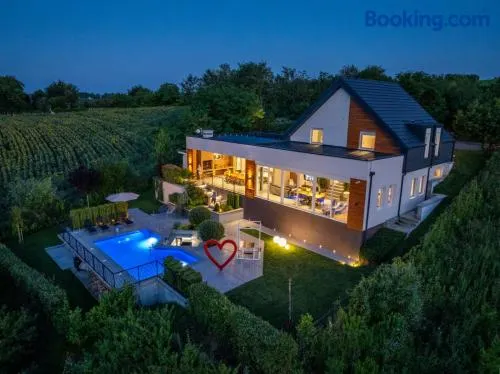 Riverside pool villa-Sremski Karlovci - Image 1