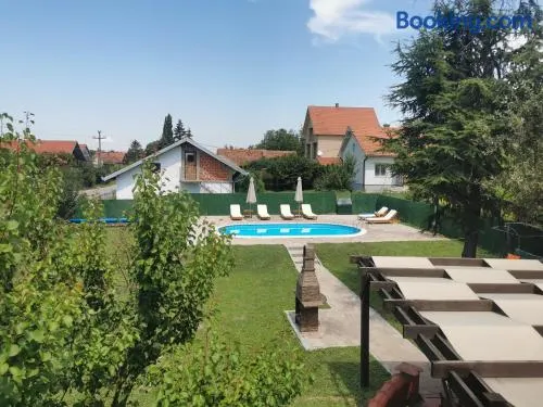 Big Borak - Image 1