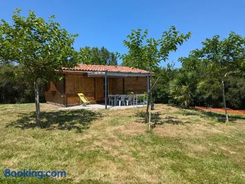 Le Chalet du Viaur - Image 1