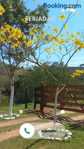 Casa no campo - Biodiversidade e Preservação - Image 1