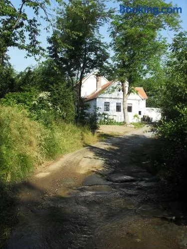 Alte Mühle Kaisersdorf - Image 1