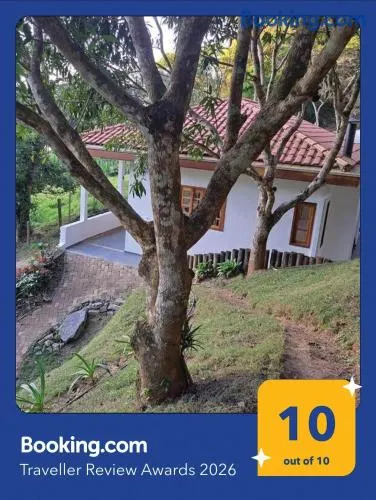 Orobó Kaá - entre a floresta e a vida no campo - Image 1