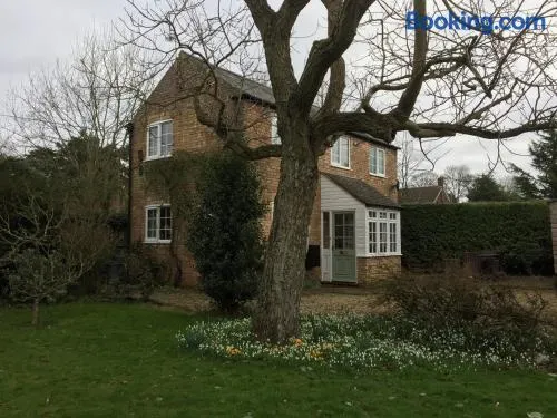 Beech View Cottage - Image 1