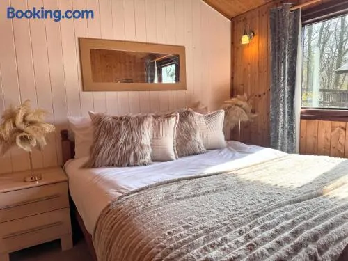 Snowdrop 9 Hot Tub-Woodlandlodges-Pembrokeshire - Image 1