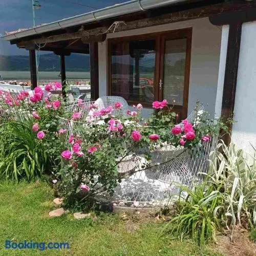 Apartmani sa pogledom na Dunav - Akademik - Image 1