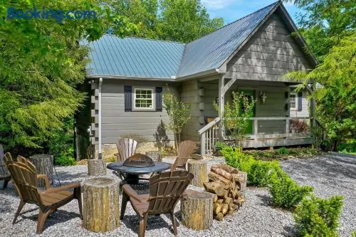 Wild Laurel Lodge - Image 1