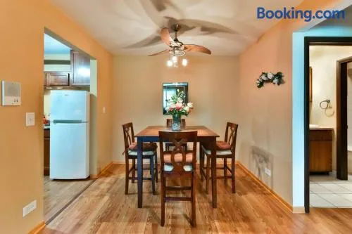 Entire Apartment with Complete Privacy Near O'hare - Image 1