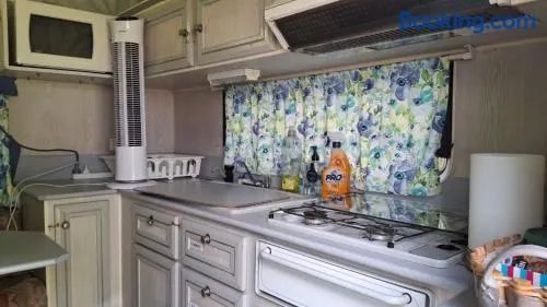 Caravan Rustic Sunflower - Image 1