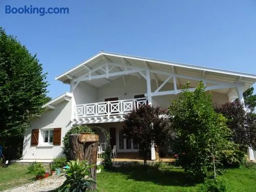 La Bulle - Image 1