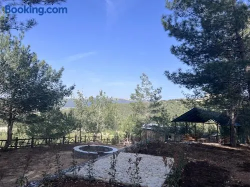 Horizon Pines - Image 1