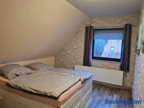 Ferienwohnung Schmidt - Image 1
