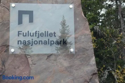 12 - Fulufjellets national parks - This is the place where Norway and Sweden meet in a large protected area for animals and nature - Image 1