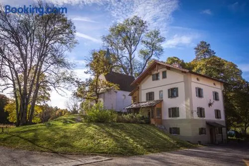 Wald Apartments bei Schlossgaststätte Hohenberg - Seeshaupt, südlicher Stanberger See, kostenfrei Parken, Ladestation für Auto und Fahrad, WLAN, Natur pur - Image 1