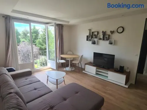 Sunny and renovated flat in secure residence - Image 1