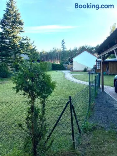 Ferienhaus am Netzener See - Image 1