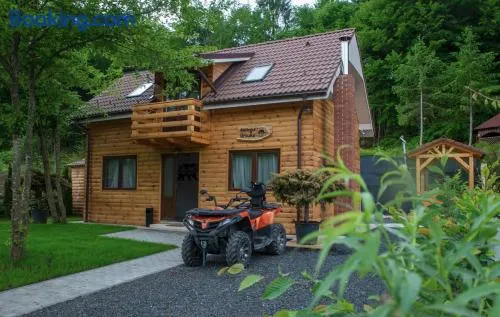 Bear's Lair Chalet - Image 1