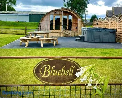 Bluebell - Image 1