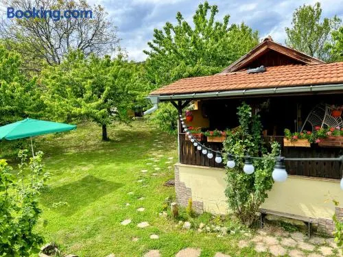 Cozy Quiet Retreat 70km from Sofia - Image 1