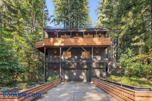 Relaxing Home Among The Redwoods - Dog-Friendly - Image 1