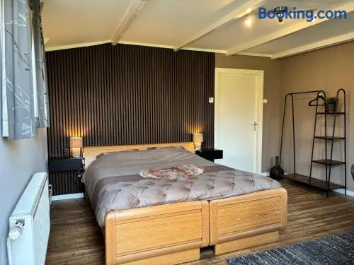 B&B Warnstee - Image 1