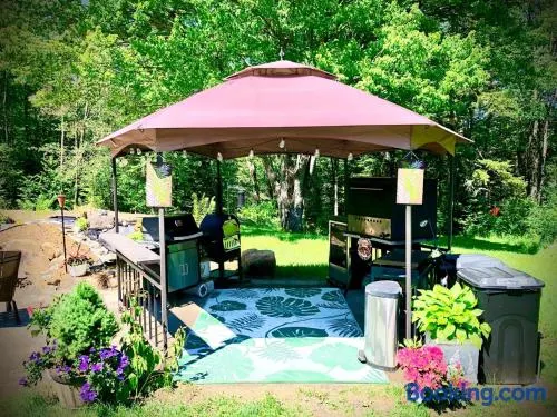 Unique and charming, exquisitely themed Log Cabin - Image 1