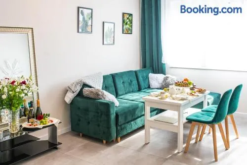 Apartament Gościnny Czempion - Image 1