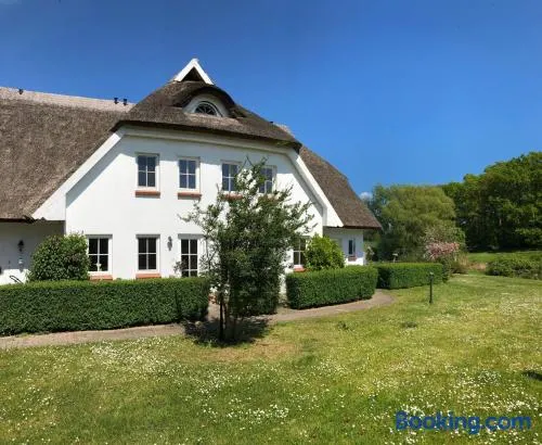 Lieblingsplatz im Reethus - Image 1