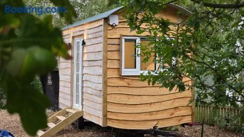 Olive the Shepherds Hut - Image 1
