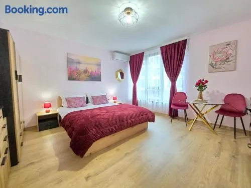 Velvet Rose Studio - Image 1