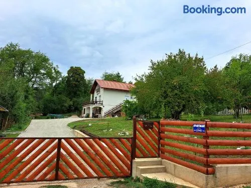 Apartman Lynx on lake Sabljaci - Image 1
