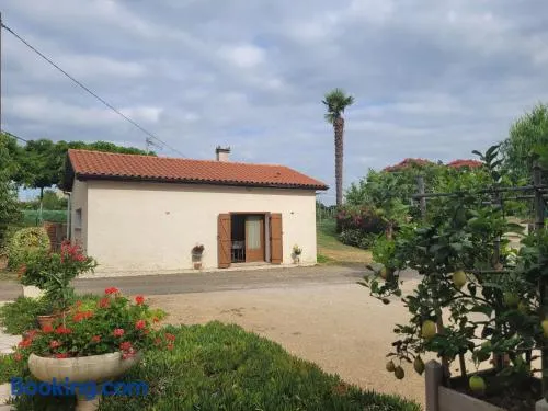 Le gite de Gayssanes - Image 1