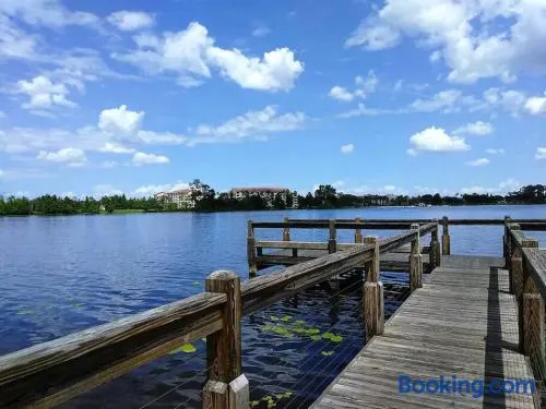 Disney Backyard Oasis - Image 1
