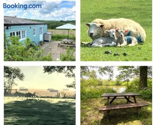 Park Farm Chalet - Image 1